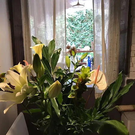 Anninnia Bed & Breakfast