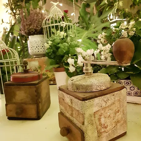 Anninnia Bed & Breakfast 2*