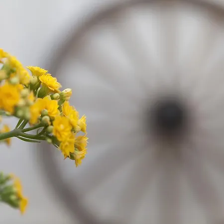 Anninnia Bed & Breakfast 2*