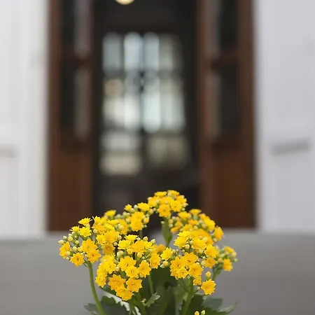 Anninnia 2* Quartucciu