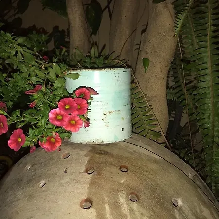 Anninnia 2* קוורטוצ'ו