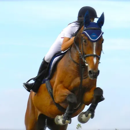 Anninnia Куартуччу