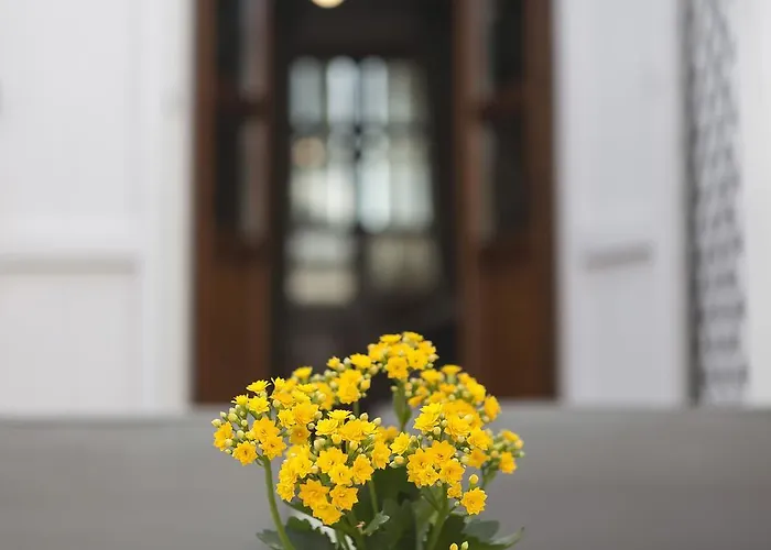 Anninnia 2* Quartucciu