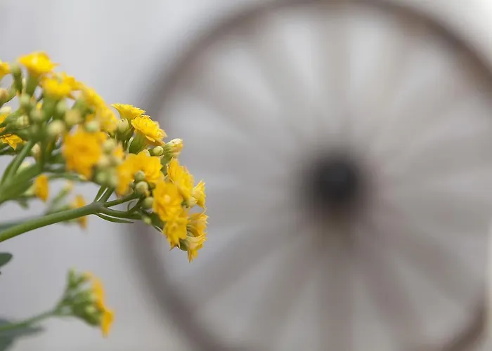 Anninnia Bed & Breakfast 2*