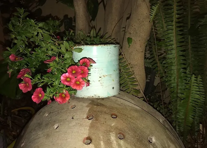 Anninnia 2* Quartucciu