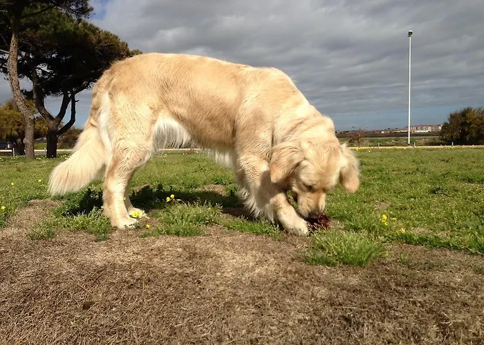 Bed & Breakfast Anninnia