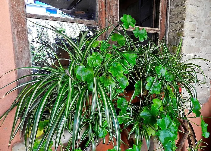 Bed & Breakfast Anninnia Quartucciu